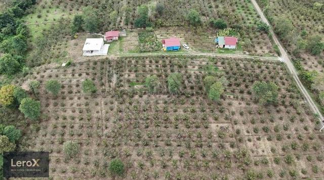 Lerox Uçardan Sakarlı Mahallesinde Satılık Müstakil Tarla 5