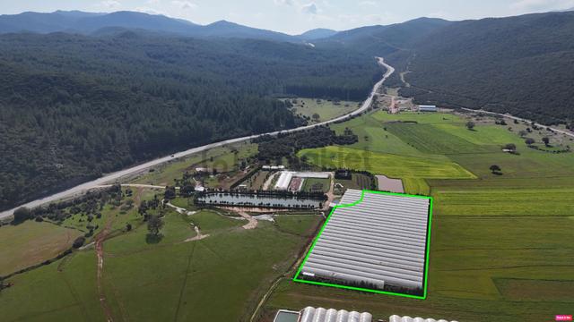 Antalya Kaş Sarılar Mah. Kocaalan Mevkinde 12.000 M2 Sera 4
