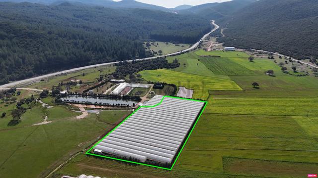 Antalya Kaş Sarılar Mah. Kocaalan Mevkinde 12.000 M2 Sera 3