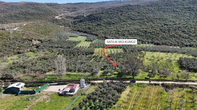 Nilüfer Fadıllı'da Göl Manzaralı, 4000m² Bahçe 4