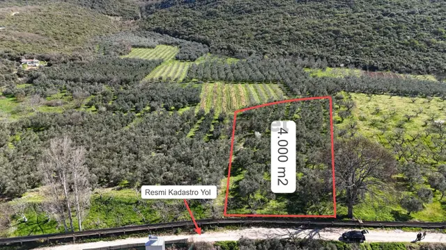 Nilüfer Fadıllı'da Göl Manzaralı, 4000m² Bahçe 3