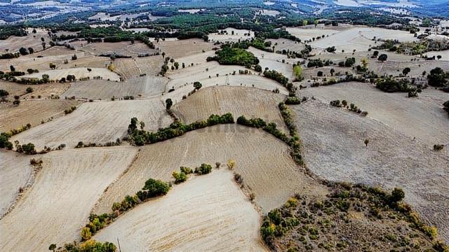 Avdan Mahallesinde Yola Cepheli 11.787m2 Havadar Konumlu Tarla 2
