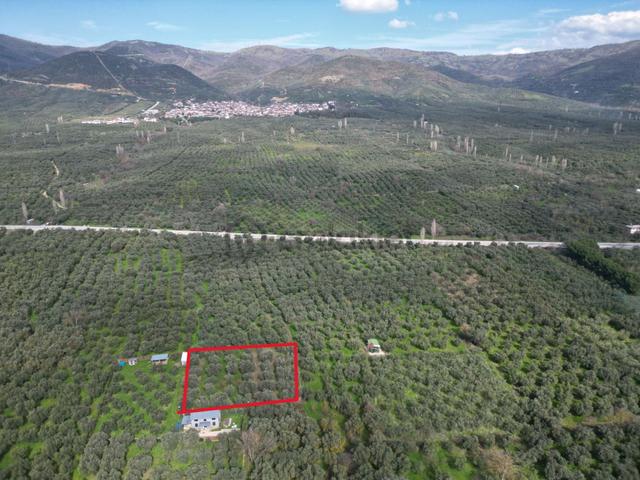Bursa Orhangazi Çakırlı Mahallesi Satılık Hobi Bahçesi