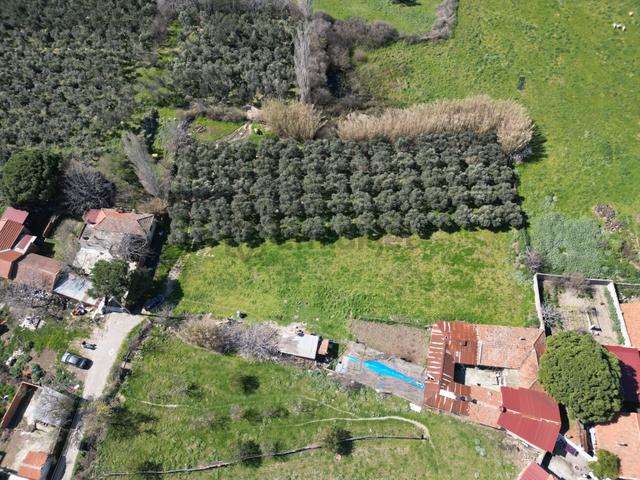 Parla'dan Burhaniye Çoruk Mah.'de 3842m² İmarlı Yatırım Fırsatı 4