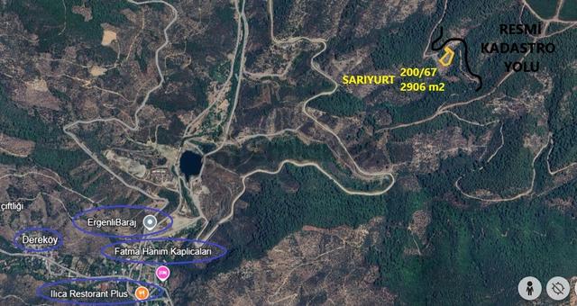 İzmir-bayındır-sarıyurt Kadastral Yola Cepheli Satılık Zeytinlik 4