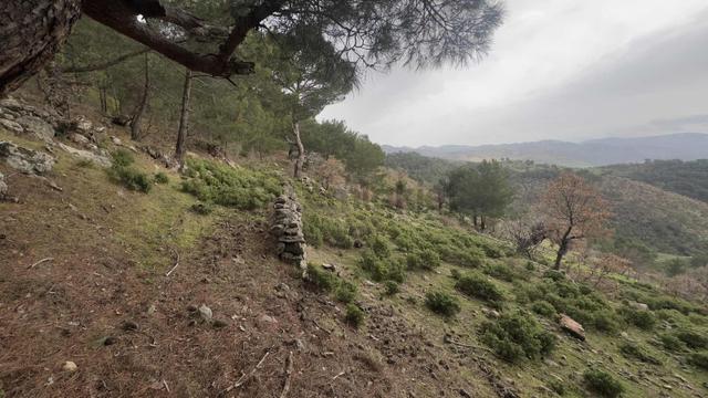 Burhaniye Çamtepe Mahallesinde Kadastro Yola Cepheli Tarla 4