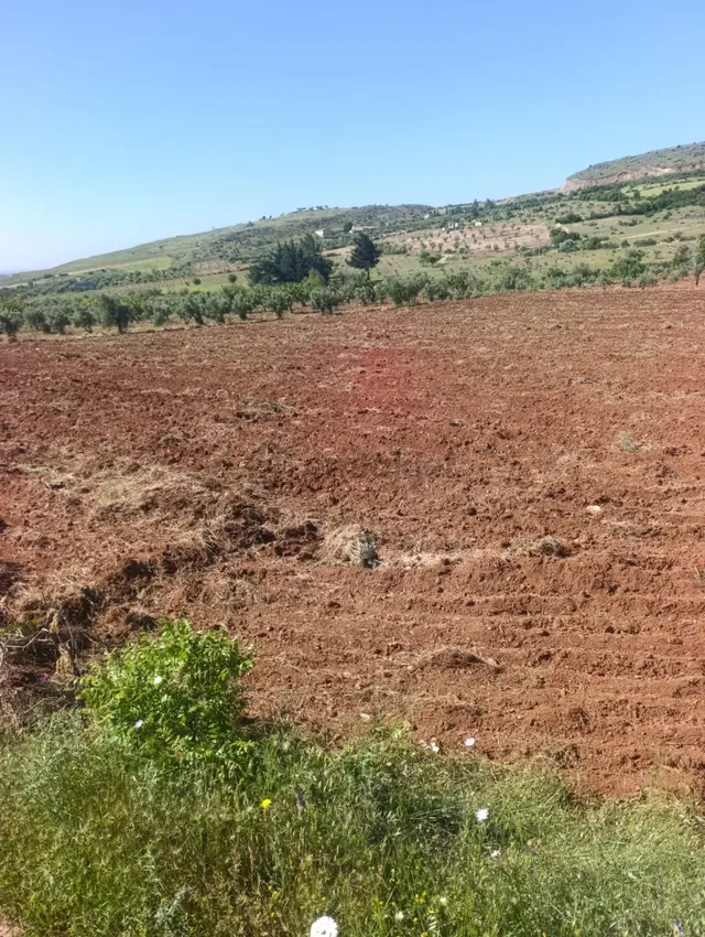 Aytekin Emlak Satılık Bağevlik Tarla 5
