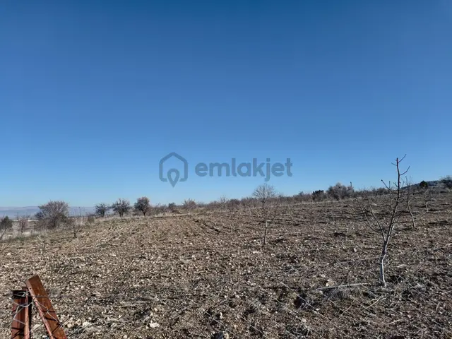 Baklan Gürlük'te 5381 M² Ceviz Bahçesi - Tarla & Yatırım Fırsatı 2