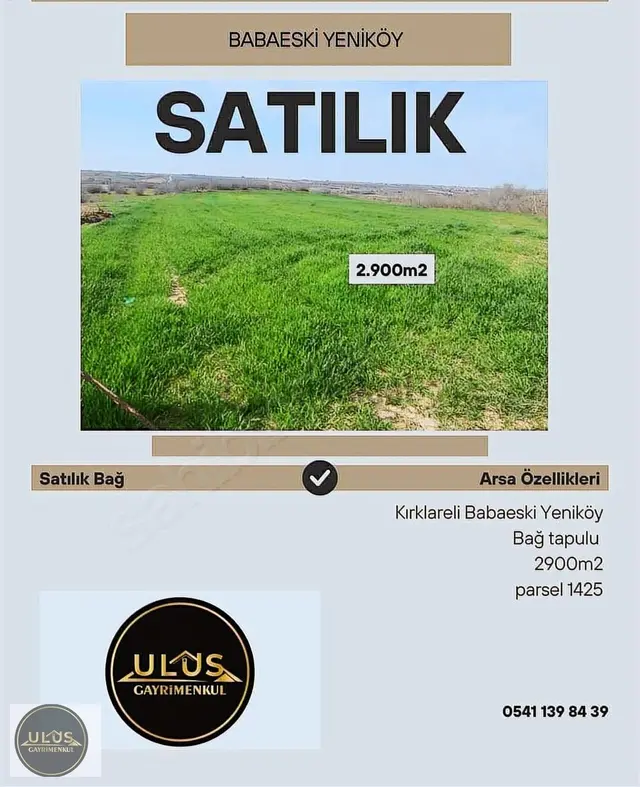Babaeski Yeniköyde Satılık 2.900 M2 Bağ Tapulu 3