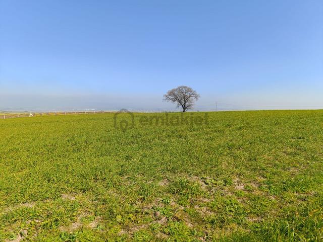 Bursa Karacabey Tophisar Mah. 12.950 M2 Satılık Tarla Yatırımlık 5