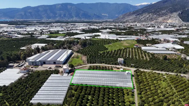 Antalya Finike Hasyurt 5.100 M2 Sera Ve İşçi Evi Satılıktır 3