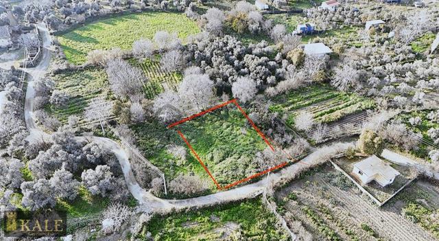Kale'den Zeytinova Köy Merkezi'nde Kupon Bahçe 5