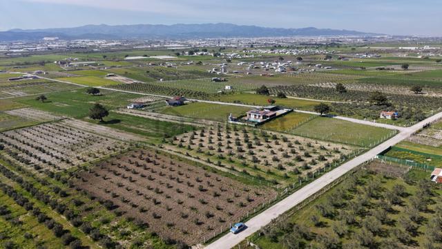 İzmir Tekelide Satılık Tapulu 170 M2 Asfalt Cephe Manzaralı Zeytinli Bahçeler 2