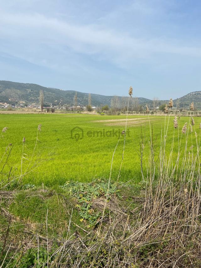 Kurşak Ta Asfalf Yola Cepheli Satılık Tarla 11415 M2 4