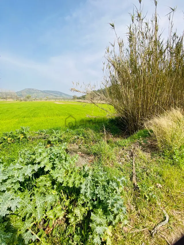 Kurşak Ta Asfalf Yola Cepheli Satılık Tarla 11415 M2 5