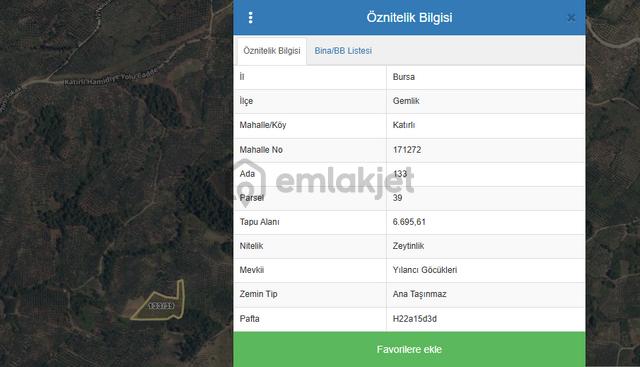 C21 Cius;katırlı'da Satılık 6695 M² Bakımlı Zeytinlik - Yatırım Fırsatı 4