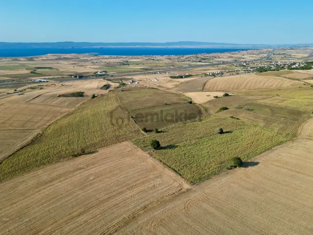 Gelibolu Bolayır 9245 M2 Satılık Yatırımlık Hesaplı Tarla 3