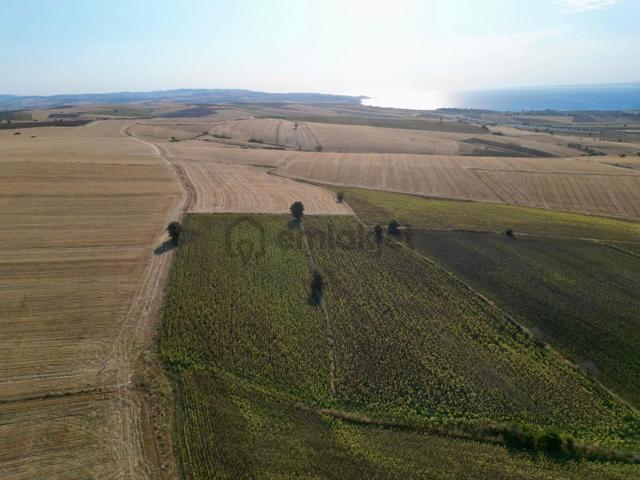 Gelibolu Bolayır 9245 M2 Satılık Yatırımlık Hesaplı Tarla 5
