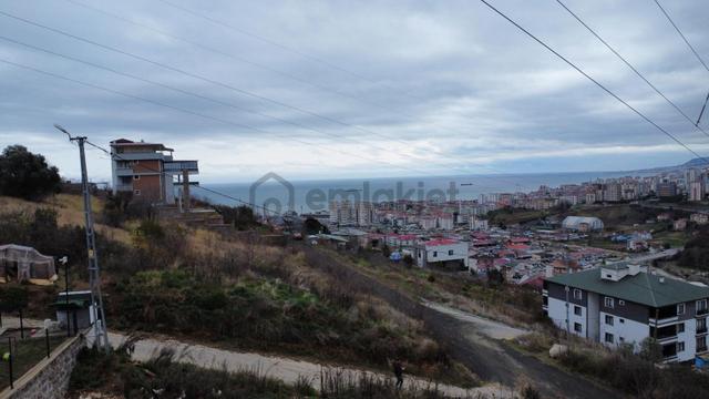 Trabzon Akçaabat Yaylacıkta Satılık Arsa 5
