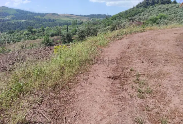 Dürdane'de 8097 M2 Satılık Tarla - Yola Cephe 2
