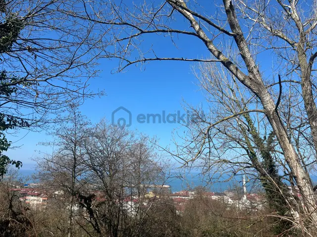 Giresun Piraziz Yeni Mahallede Deniz Manzaralı Satılık Arsa Giresun Piraziz Yeni Mahallede Deniz Manzaralı Satılık Arsa
