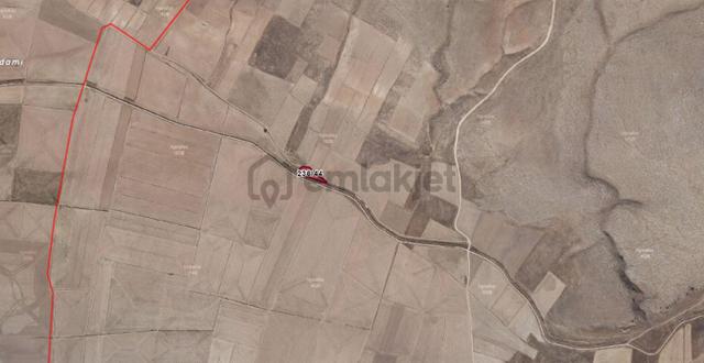 Kerman Gayrimenkul'den 1.660 M2 Kök Tapu Araç Takaslı Tarla 3