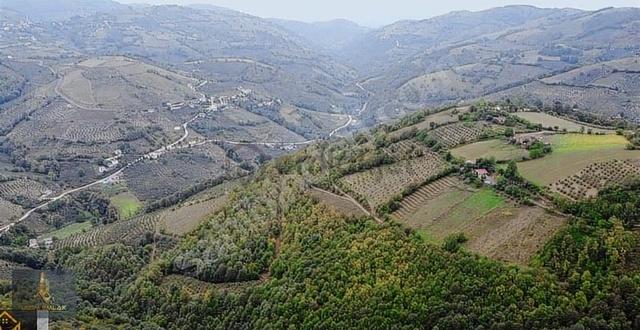 Temel Emlak'tan Tekkeköy, Karışlarda Satılık 15,5 Dönüm Arazi 4
