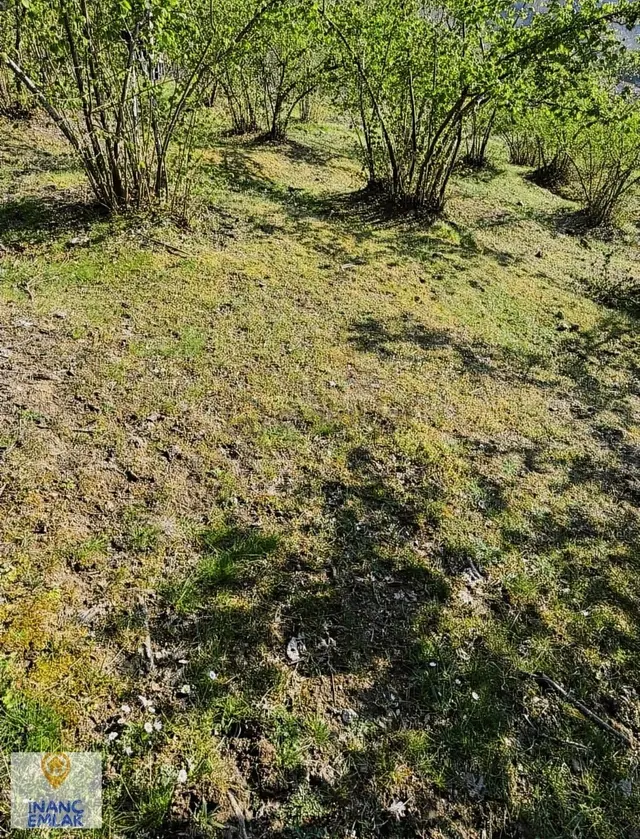 İnanç Emlaktan Keşap Düzköyde Satılık Fındık Bahçesi 2