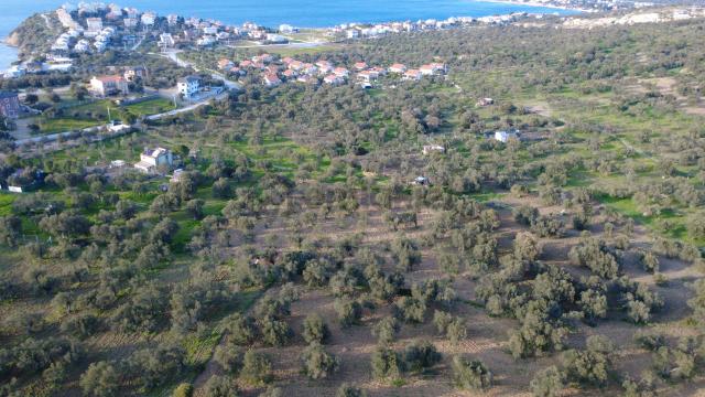Aşağışakranda Uygulama İçerisinde İmara Açılacak 2400m2 Zeytinli 4