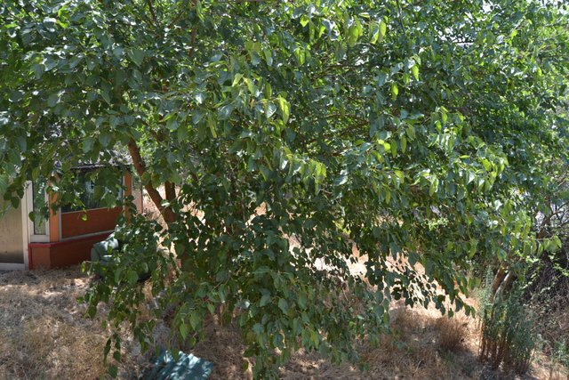 Çekmeköy Reşadiye 800 M2 Arsa İcinde 3 Katlı Kiralık Villa