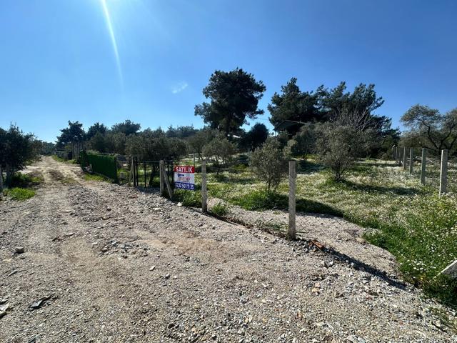 Kuş Sesleri İçinde Yazıbaşı'nda 500m2 Huzur Bahçesi.. 4