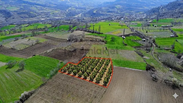 Gündüzlü'de Satılık 4.000m2 Tek Tapu Dümdüz Yatırımlık Arazi 2