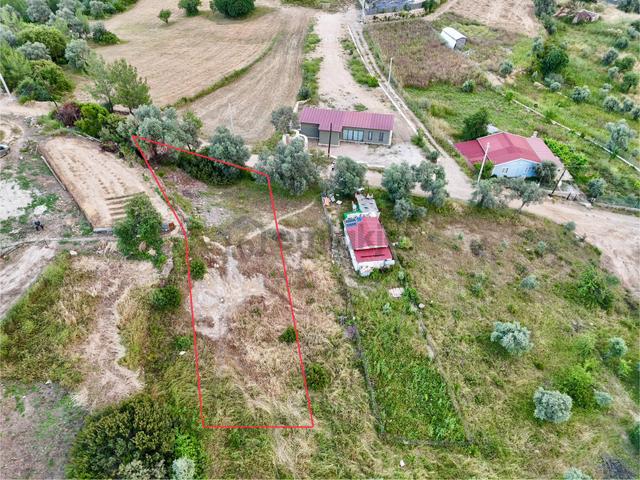 Gökova’ya Yakın Zeytinköy’de 450m² Premium Doğa Tarlası 1