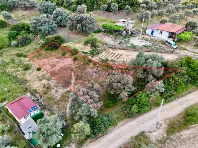 Gökova’ya Yakın Zeytinköy’de 450m² Premium Doğa Tarlası 4