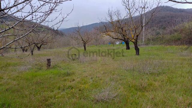 Uzmanlar'dan Akçat 1164 M2 Satılık %5 İmarlı Meyve Bahçesi 2