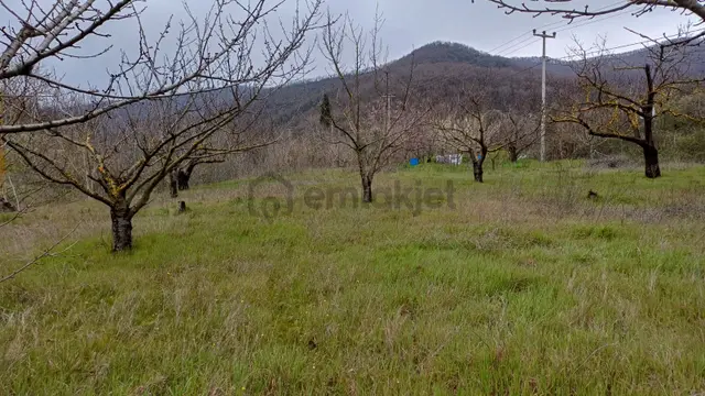 Uzmanlar'dan Akçat 1164 M2 Satılık %5 İmarlı Meyve Bahçesi 1