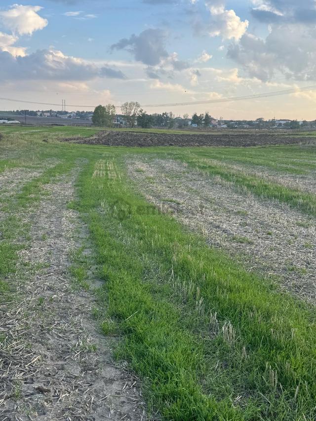 Saray Yuvalıda Yatırımlık Hiselli 402 M2 Bağ Yeri 4