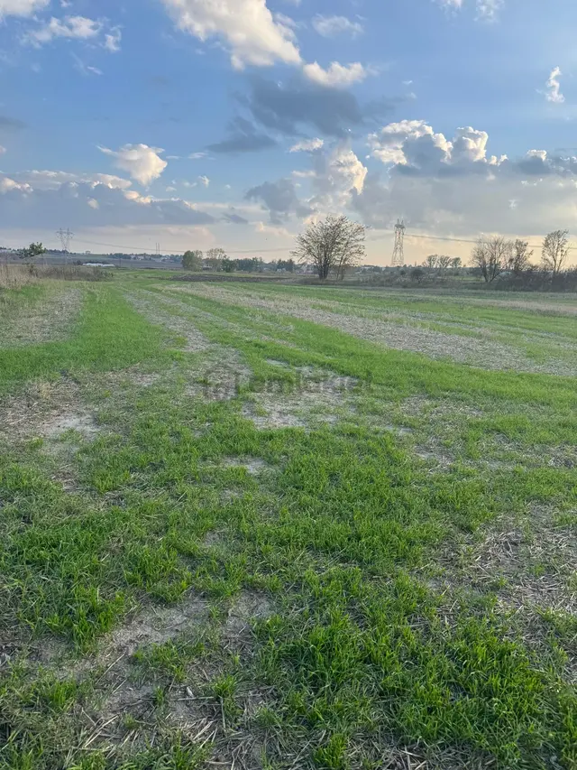 Saray Yuvalıda Yatırımlık Hiselli 402 M2 Bağ Yeri Saray Yuvalıda Yatırımlık Hiselli 402 M2 Bağ Yeri