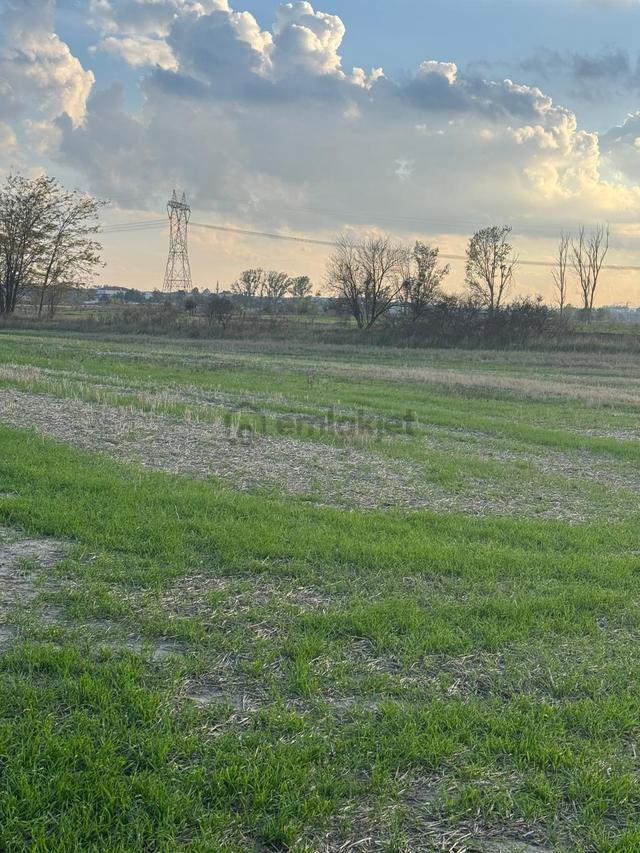 Saray Yuvalıda Yatırımlık Hiselli 402 M2 Bağ Yeri 5