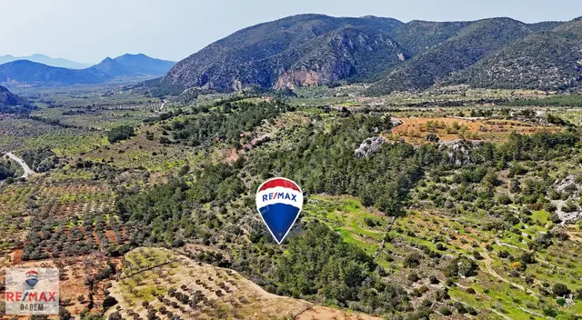 Datça Sındıda Manzaralı Tarla - Tıny House'a Uygun Yolu Var 3