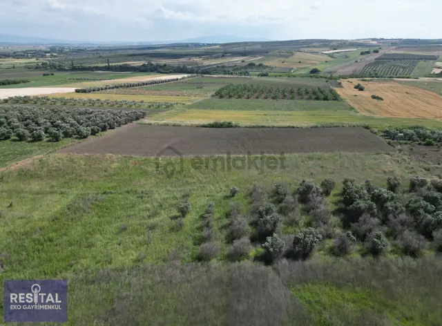 Karacabey Sultaniye Köye Yakın 3.875 M2 Fırsat Arazi 3
