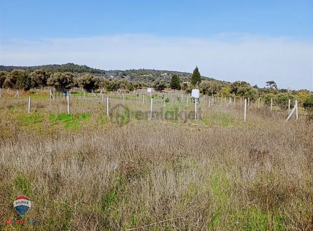 16 Urla Bademler De Satılık Arsa 2