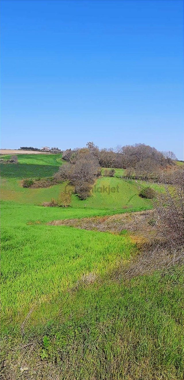 Emlakyap Tan Silivri Bekirli De Satılık Tarla Emlakyap Tan Silivri Bekirli De Satılık Tarla