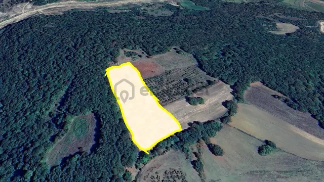 Altın Emlak'tan Kandıra Çalköy'de 8.368 M² Yatırımlık Arazi 3