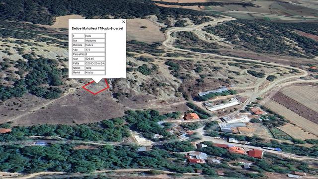 Mudurnu Delice Köyünde Köy İçi 529 M2 Tarla 3