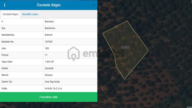 Century 21 Bal'dan Bandırma Edincik Mahallesinde Satılık Zeytinlik