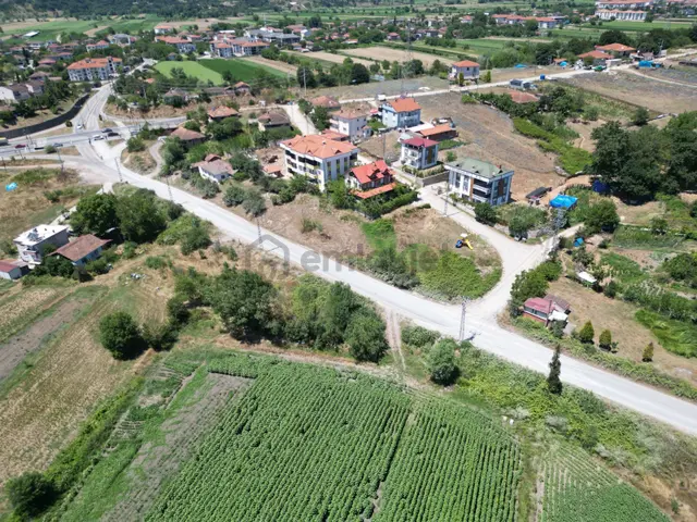 Kurudilde 10.978 M2 Satılık Fındık Bahçesi 5