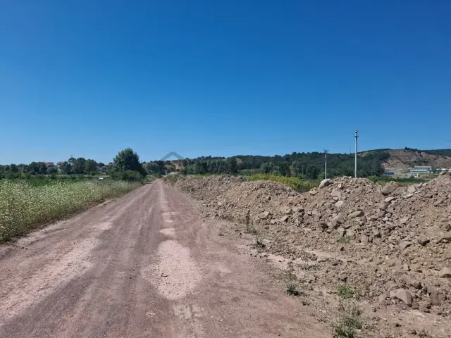 Kurudilde 10.978 M2 Satılık Fındık Bahçesi 4