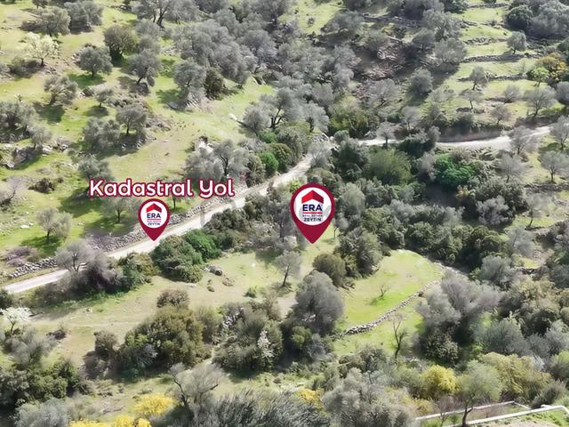 Datça Mesudiye’de Yatırım Değeri Yüksek Tarla 3