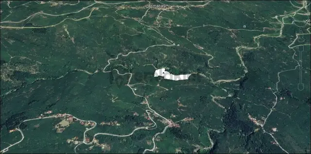 Kocaali 36500 M2 Fındık Bahçesi Kacmaz Fırsat 2